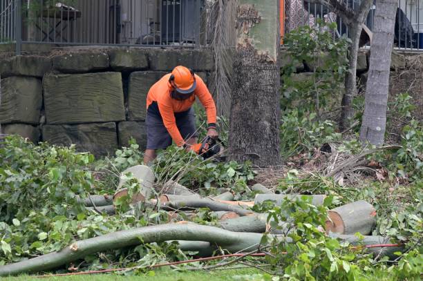  Milton, LA Tree Care Services Pros